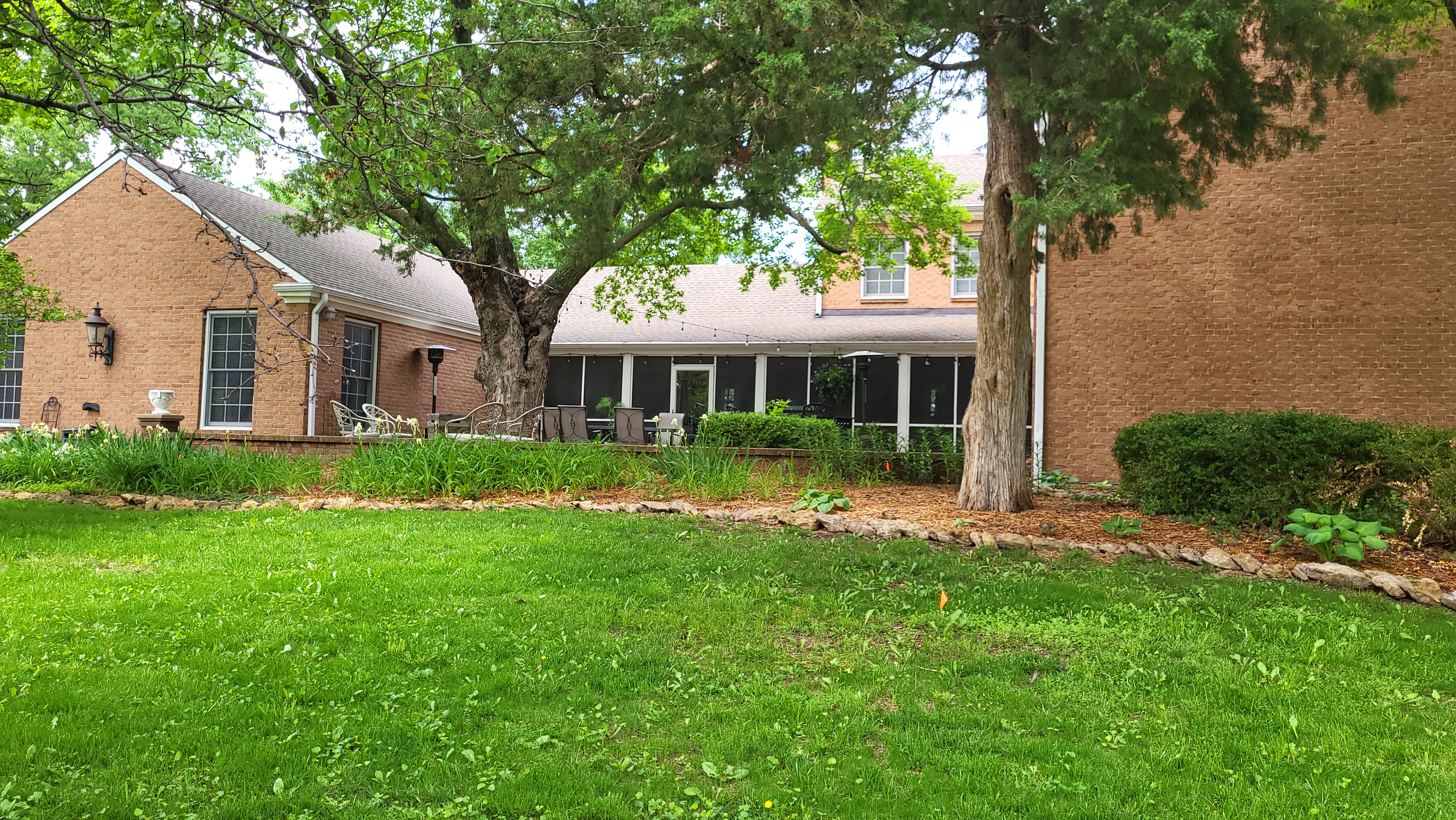 Courtyard view of the grassy area